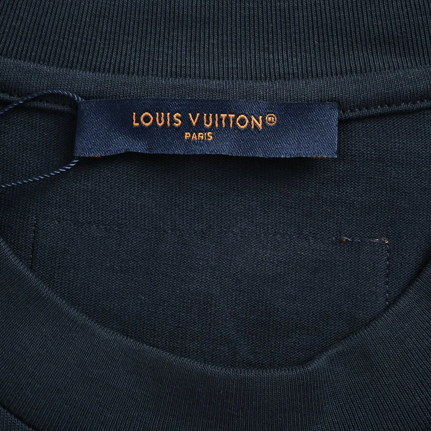 Louis Vuitton/Louis Vuitton melted Monogram embroidered short sleeves